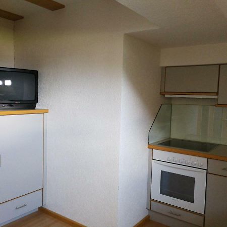 Апартаменты Haus Holzer Кальс-ам-Гросглоккнер Экстерьер фото